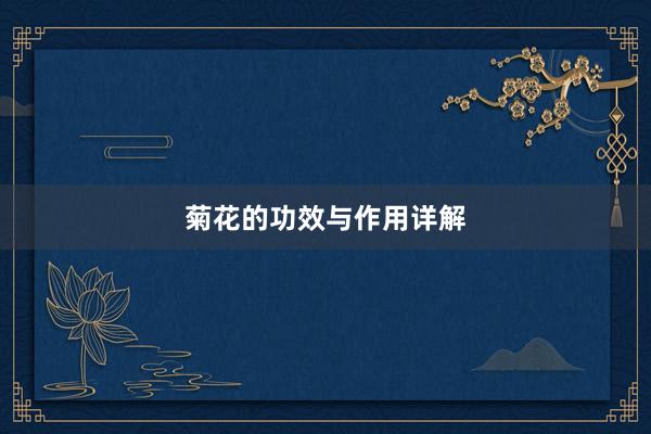 菊花的功效与作用详解